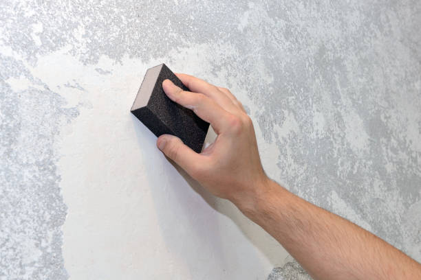 Best Basement Mold Removal  in Navarre Beach, FL