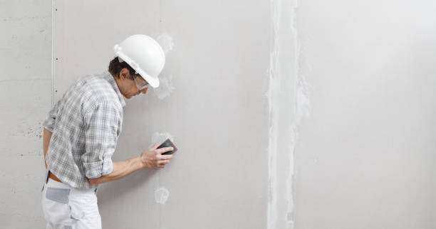 Trusted Navarre Beach, FL Mold Removal Experts
