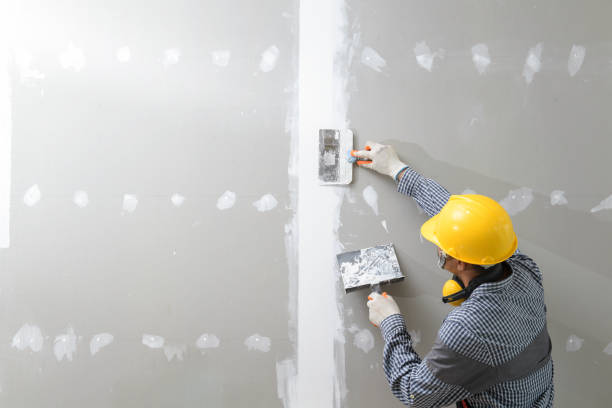 Best Mold Documentation for Insurance Claims  in Navarre Beach, FL