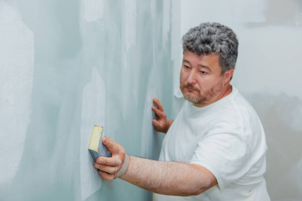 Best Environmental Consulting for Mold Prevention  in Navarre Beach, FL