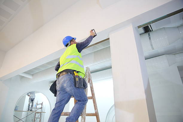 Best Forensic Mold Investigation  in Navarre Beach, FL