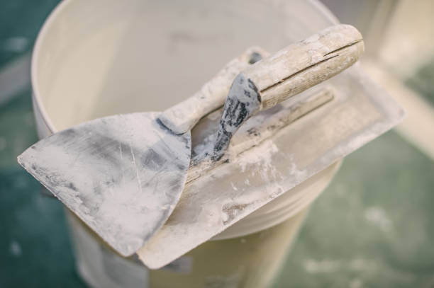 Best Mold Damage Restoration  in Navarre Beach, FL