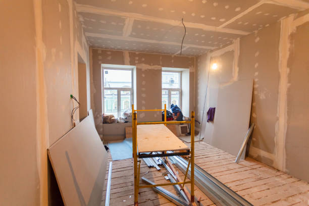 Best Emergency Mold Remediation  in Navarre Beach, FL